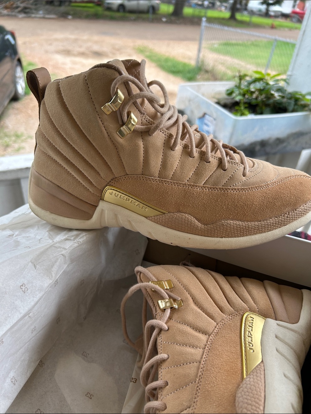 Air Jordan 12 retro vanchetta tan